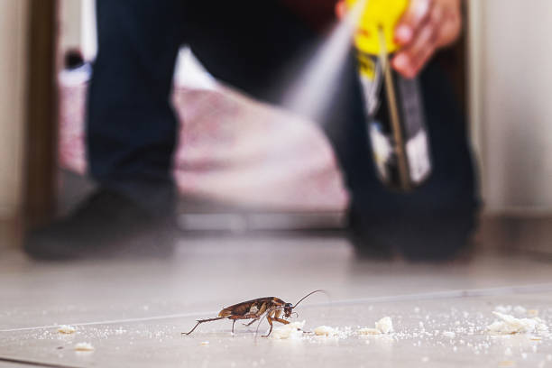 Best Pest Prevention Services  in Clearlake Riviera, CA